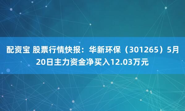 配资宝 股票行情快报：华新环保（301265）5月20日主力资金净买入12.03万元