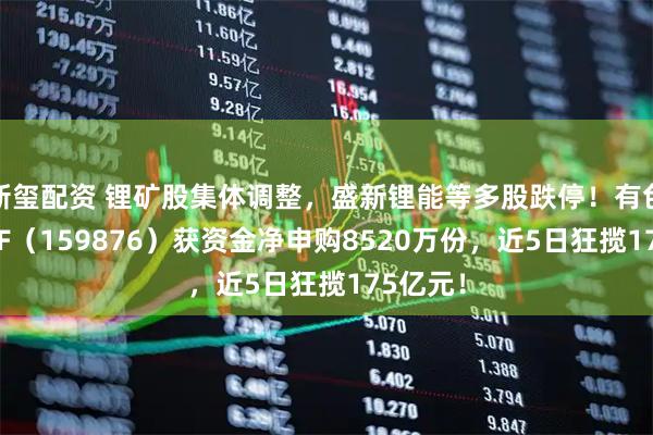 新玺配资 锂矿股集体调整，盛新锂能等多股跌停！有色龙头ETF（159876）获资金净申购8520万份，近5日狂揽175亿元！
